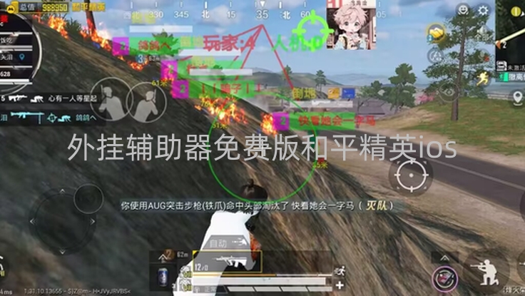 外挂辅助器免费版和平精英ios-使用免费和平精英iOS版作弊工具后果多严重？隐私财产皆受损